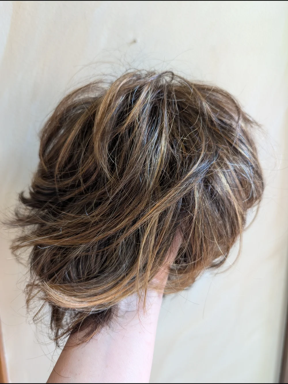 Raquel Welch Winner Wig R9S+ Shaggy Pixie Natural Brown Highlights EUC Box Tag - Picture 15 of 16